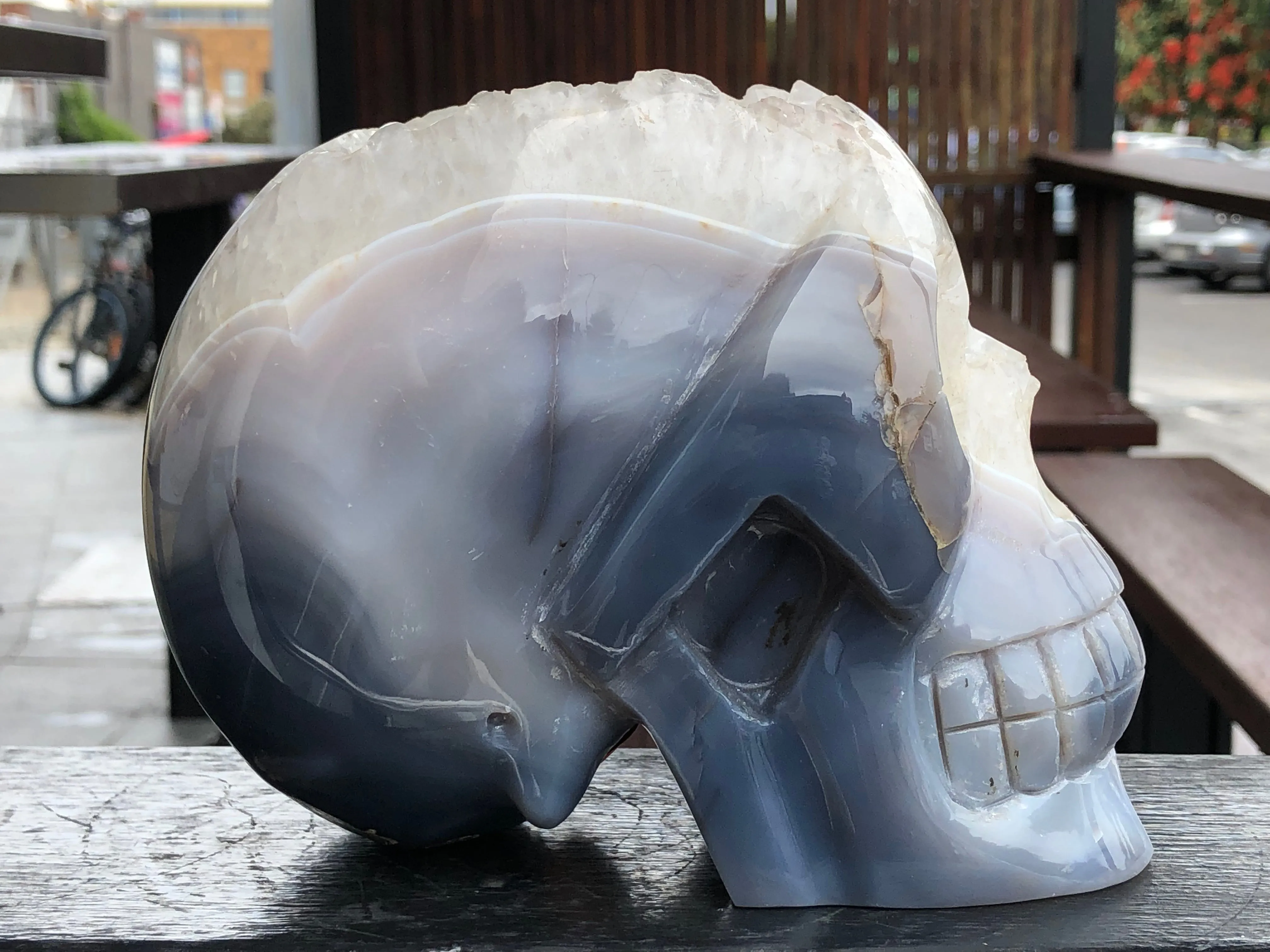 Blue Agate and Quartz Geode Skull [1K73]