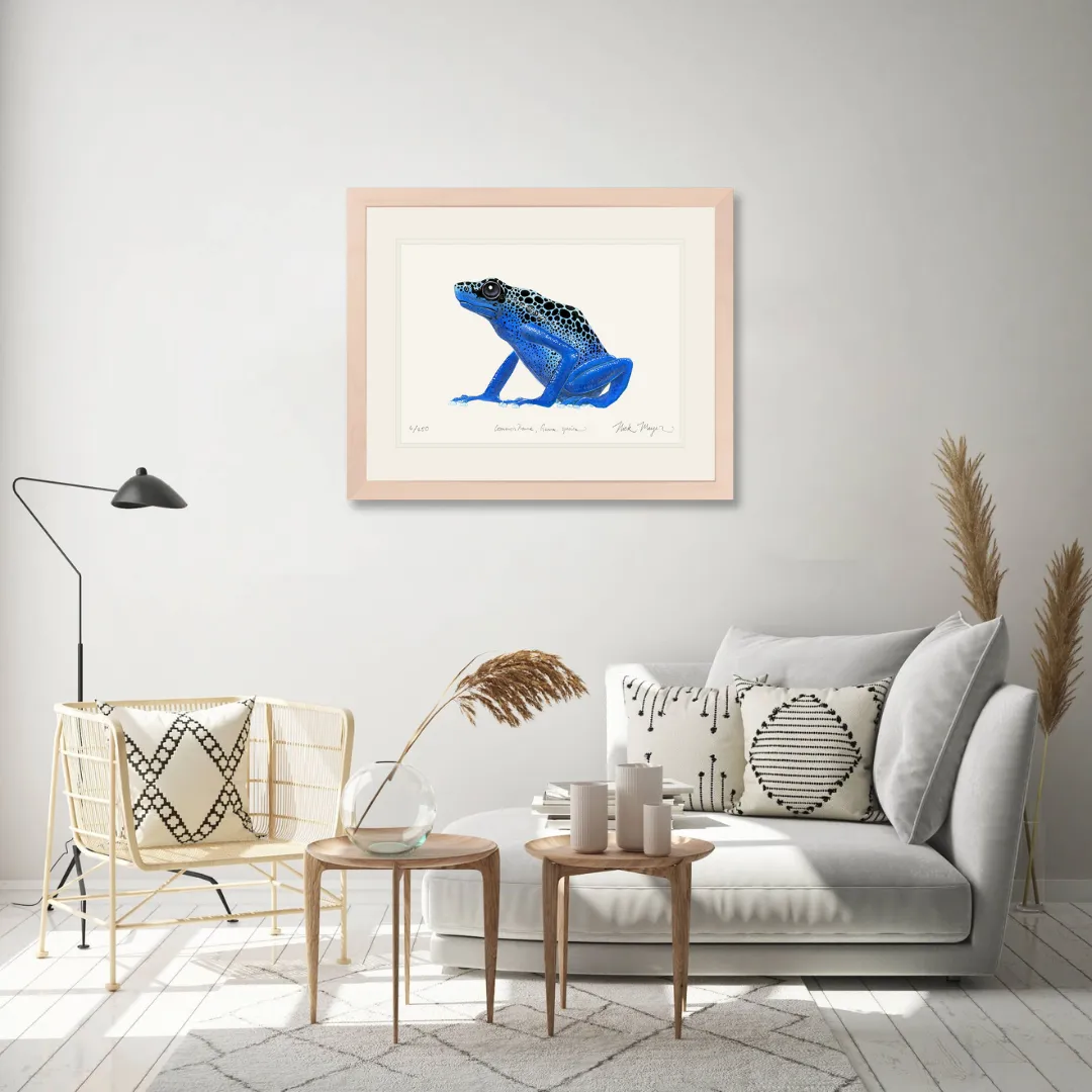 Blue Poison Dart Frog Print