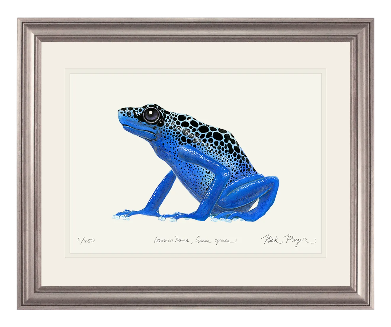 Blue Poison Dart Frog Print