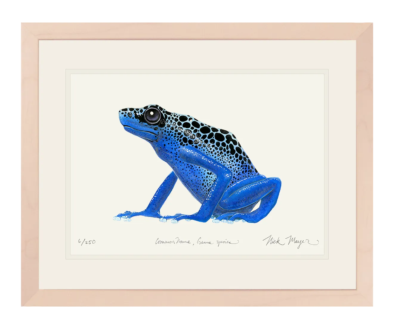 Blue Poison Dart Frog Print