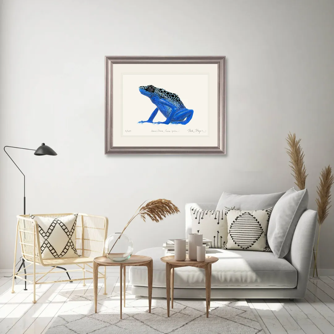 Blue Poison Dart Frog Print