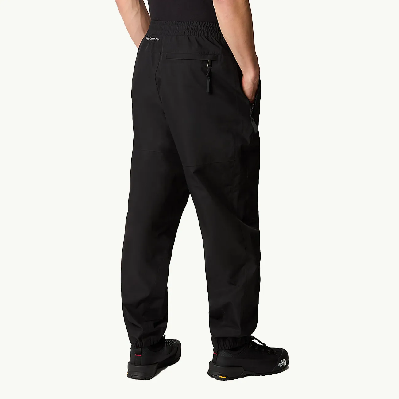 Gortex Mountain Pant R - TNF Black