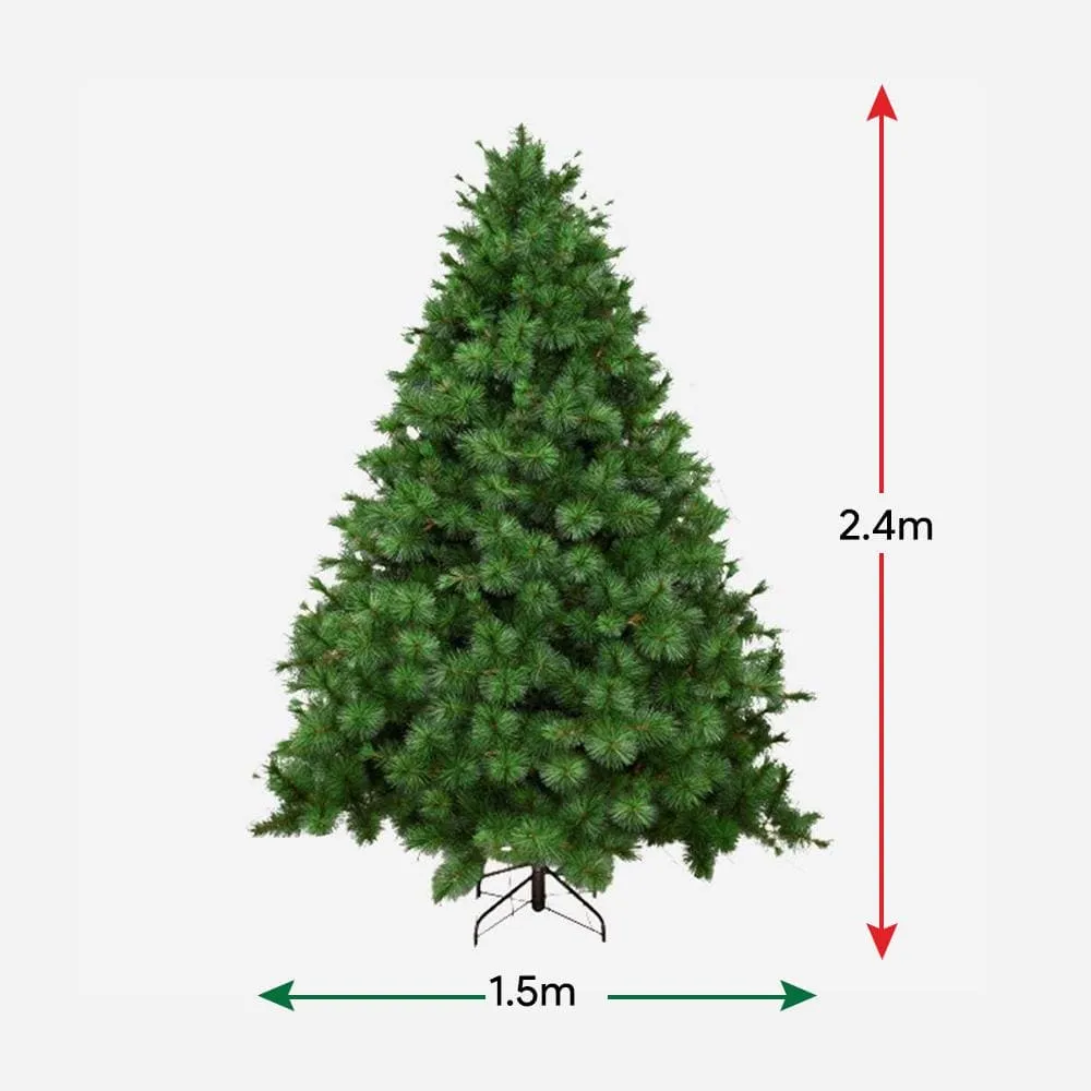 Natural Royal Pine Tree 8ft (2.4m)