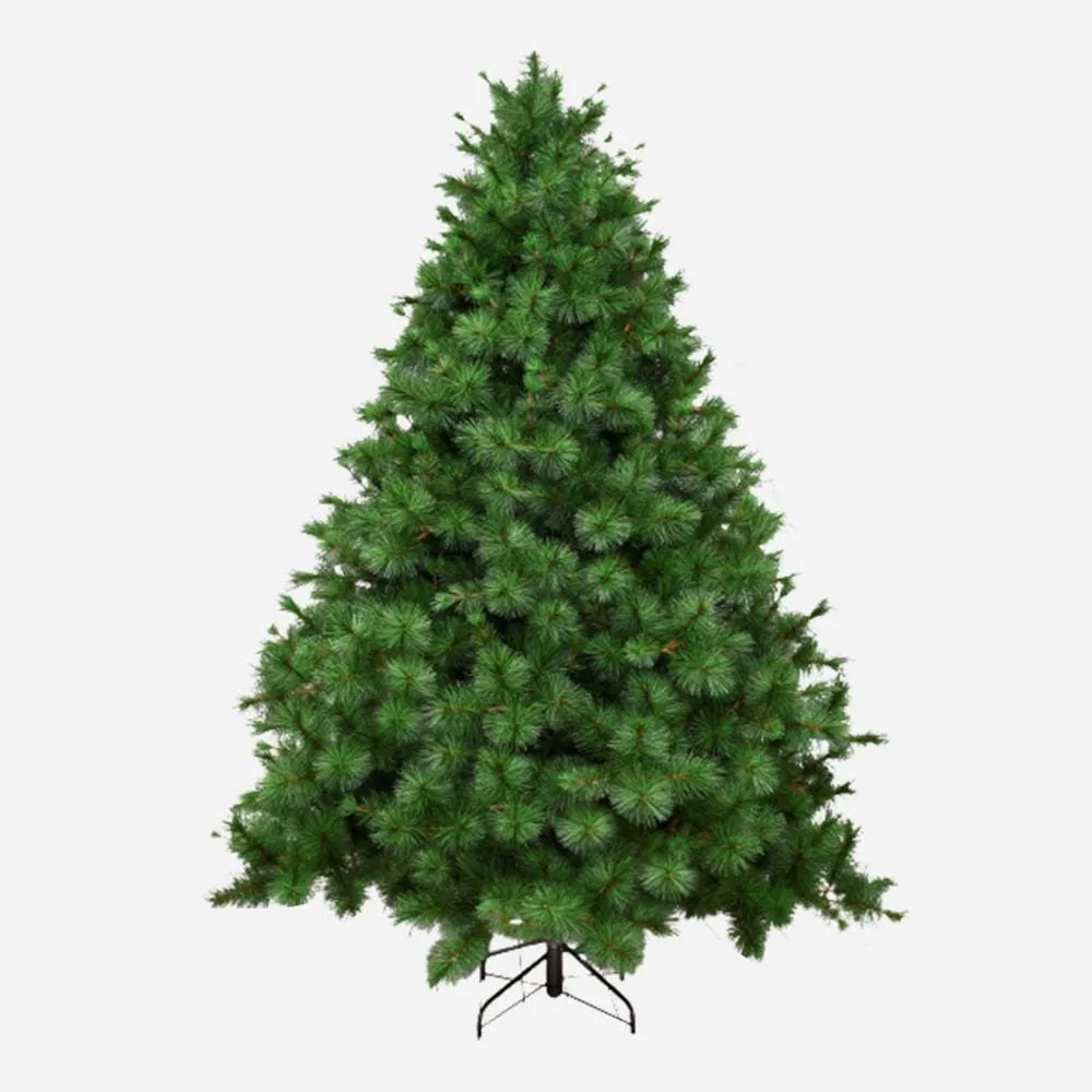 Natural Royal Pine Tree 8ft (2.4m)