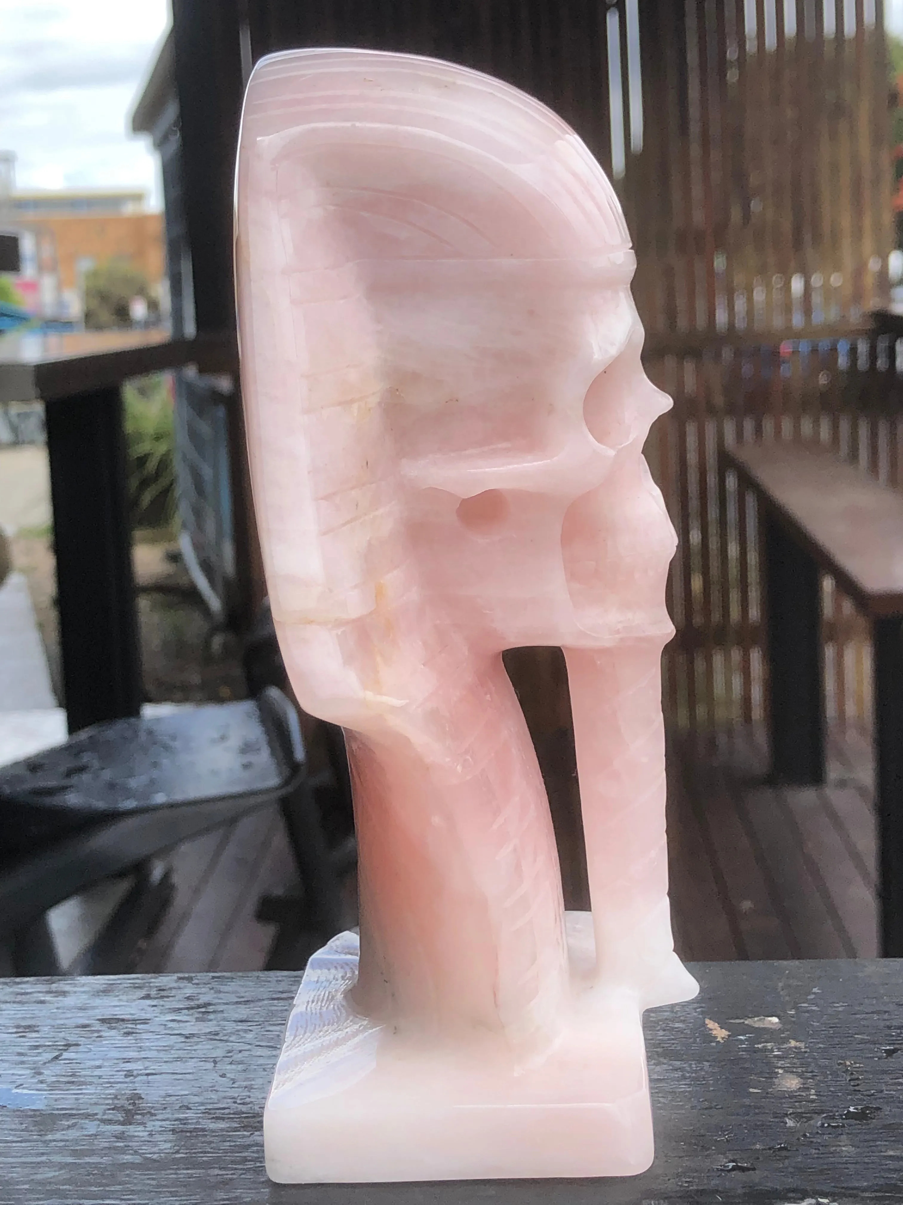 Rose Quartz Pharaoh Skull [1k1568]