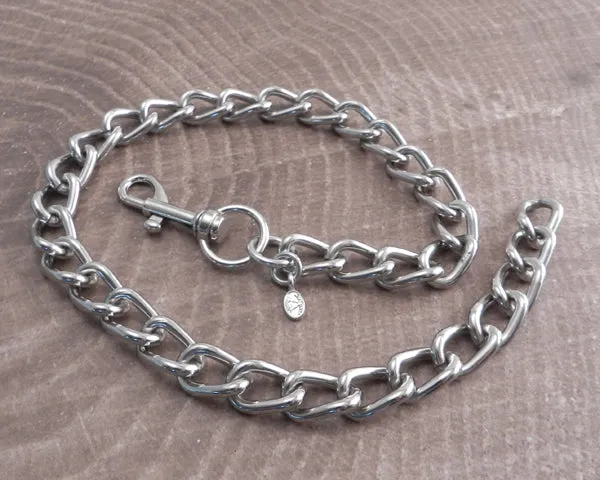 Shackle Smooth Necklace